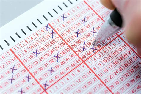 daily lotto results history|Daily Lotto Results History.
